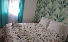 Orotava Bliss Z